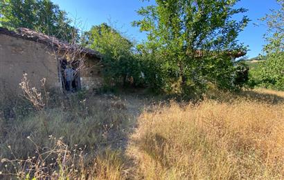 C21BAL'DAN KARESİ KIRMIZILAR MH 1321 M2 SATILIK KAGİR EV VE ARSA