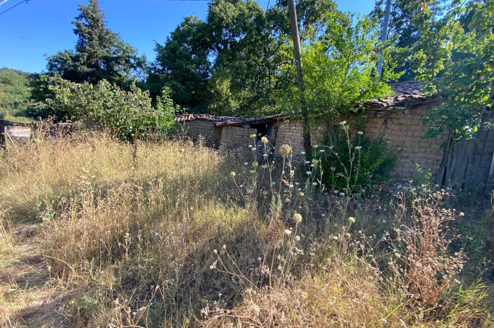 C21BAL'DAN KARESİ KIRMIZILAR MH 1321 M2 SATILIK KAGİR EV VE ARSA