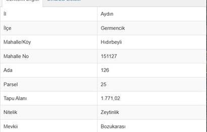 Germencik Hıdırbeyli 1771 m² Müstakil Tapu Zeytinlik Yolu Açık