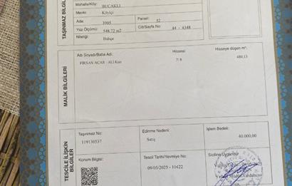 acil şile bucaklı bahce