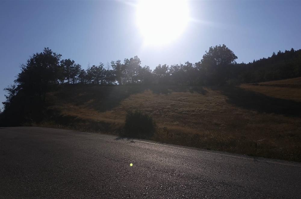 Burdur Altınyayla'da Ana Yola Cepheli SatılıkTarla