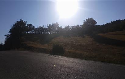 Burdur Altınyayla'da Ana Yola Cepheli SatılıkTarla