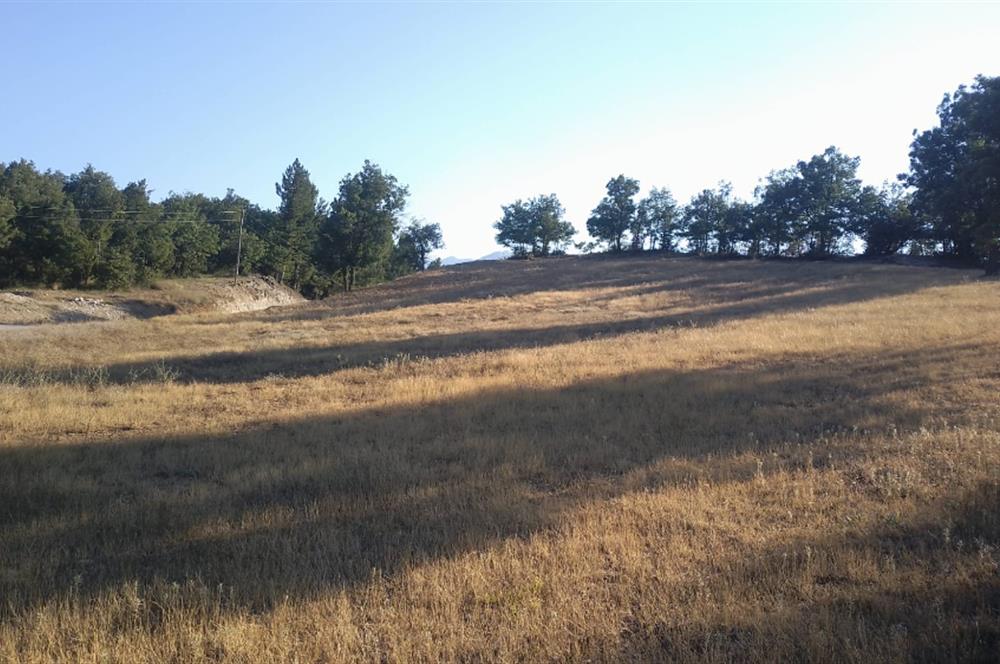 Burdur Altınyayla'da Ana Yola Cepheli SatılıkTarla