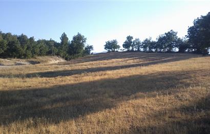 Burdur Altınyayla'da Ana Yola Cepheli SatılıkTarla