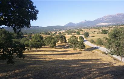 Burdur Altınyayla'da Ana Yola Cepheli SatılıkTarla