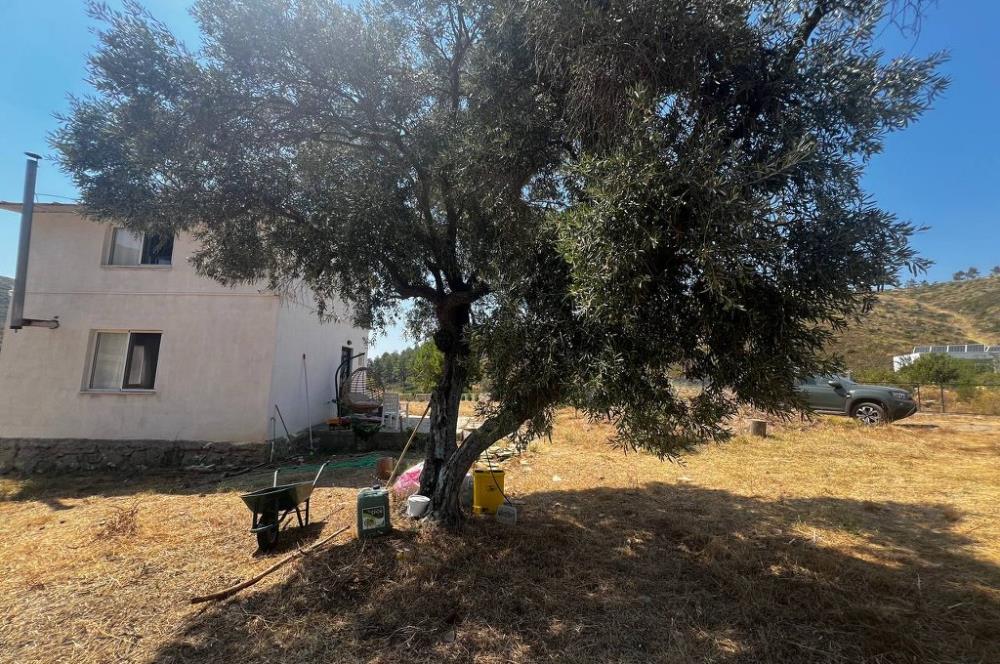 Bodrum Gökpınar 16680 m2 5 Parsel Orman Cepheli Çiftlik Arazisi