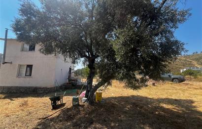 Bodrum Gökpınar 16680 m2 5 Parsel Orman Cepheli Çiftlik Arazisi