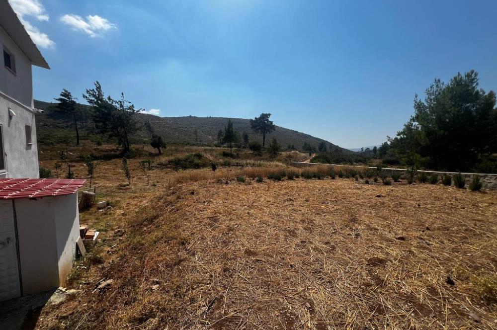 Bodrum Gökpınar 16680 m2 5 Parsel Orman Cepheli Çiftlik Arazisi