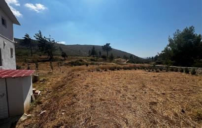 Bodrum Gökpınar 16680 m2 5 Parsel Orman Cepheli Çiftlik Arazisi