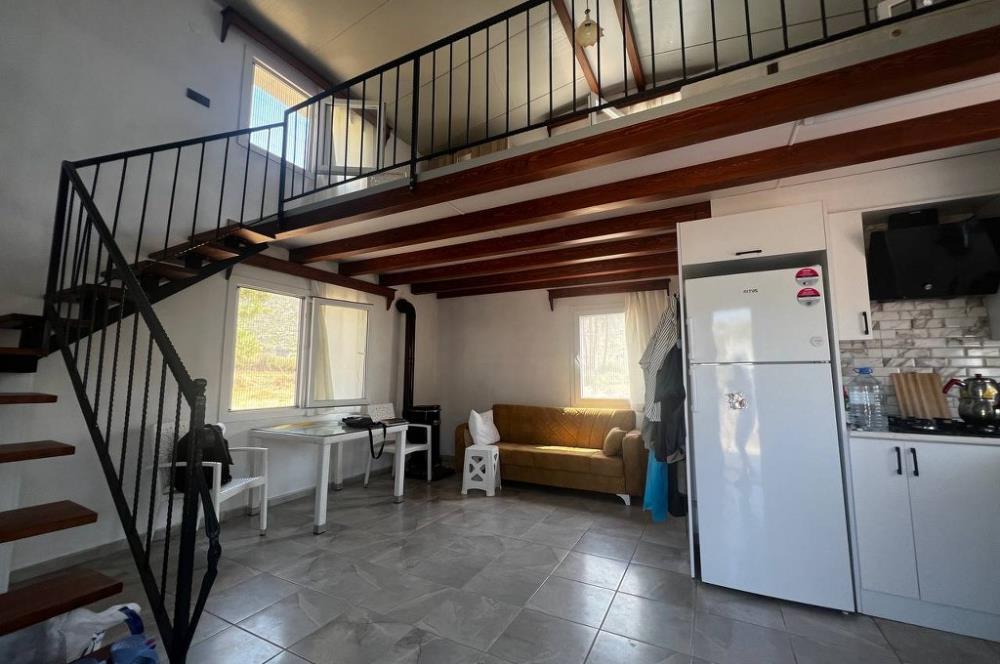 Bodrum Gökpınar 16680 m2 5 Parsel Orman Cepheli Çiftlik Arazisi