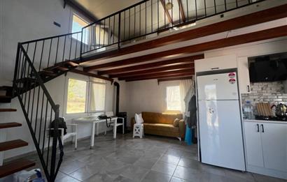 Bodrum Gökpınar 16680 m2 5 Parsel Orman Cepheli Çiftlik Arazisi
