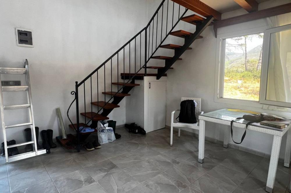 Bodrum Gökpınar 16680 m2 5 Parsel Orman Cepheli Çiftlik Arazisi
