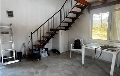Bodrum Gökpınar 16680 m2 5 Parsel Orman Cepheli Çiftlik Arazisi