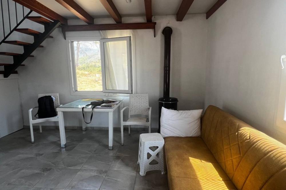 Bodrum Gökpınar 16680 m2 5 Parsel Orman Cepheli Çiftlik Arazisi