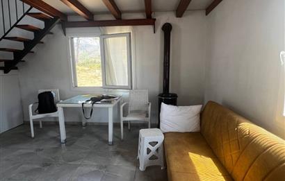 Bodrum Gökpınar 16680 m2 5 Parsel Orman Cepheli Çiftlik Arazisi