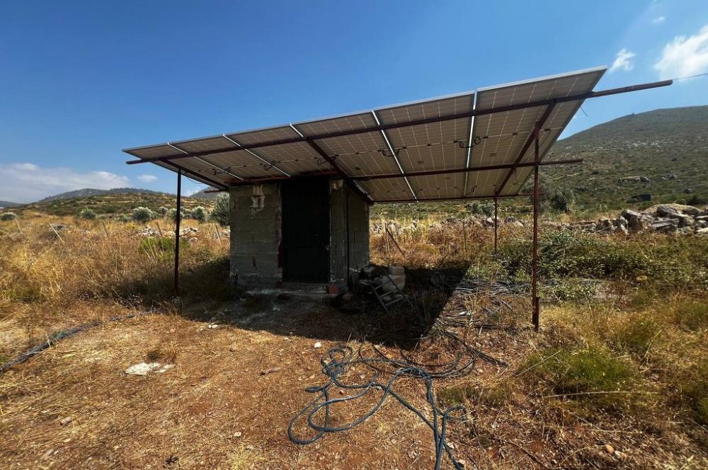 Bodrum Gökpınar 16680 m2 5 Parsel Orman Cepheli Çiftlik Arazisi