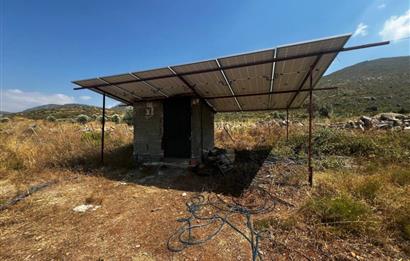 Bodrum Gökpınar 16680 m2 5 Parsel Orman Cepheli Çiftlik Arazisi