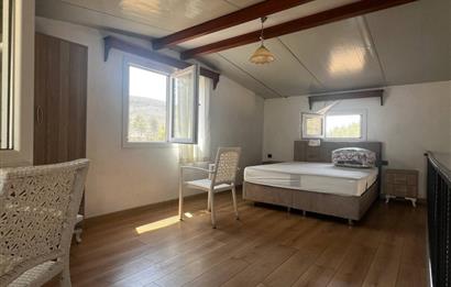 Bodrum Gökpınar 16680 m2 5 Parsel Orman Cepheli Çiftlik Arazisi
