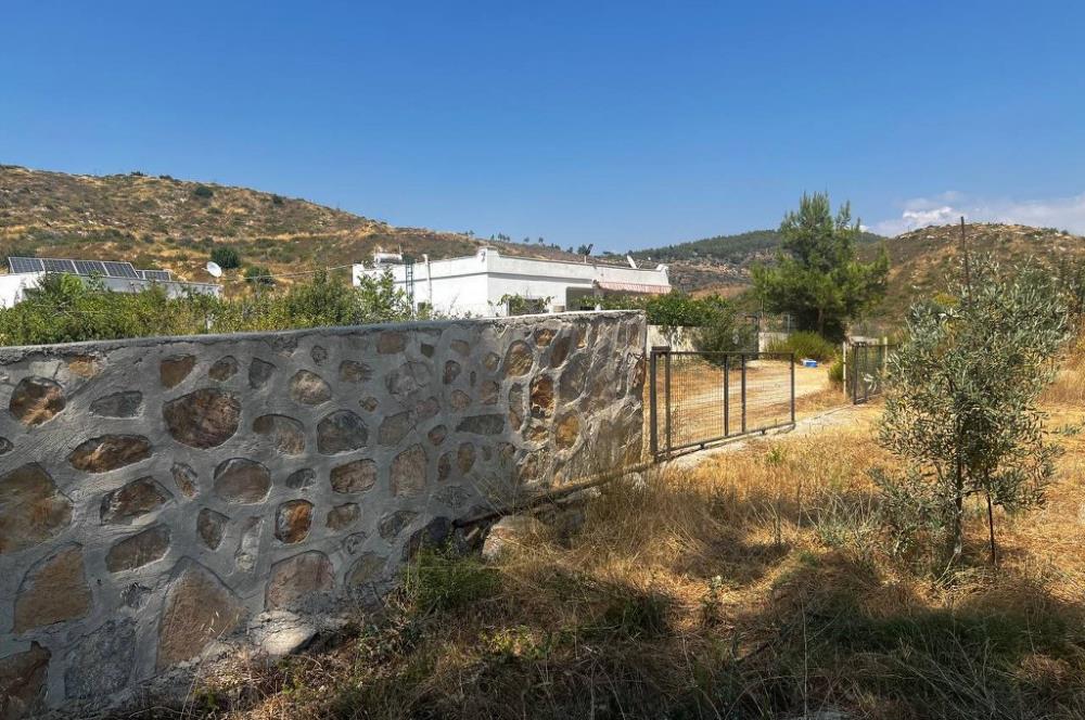 Bodrum Gökpınar 16680 m2 5 Parsel Orman Cepheli Çiftlik Arazisi