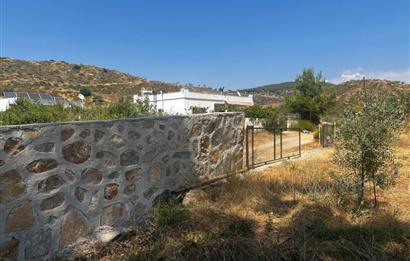 Bodrum Gökpınar 16680 m2 5 Parsel Orman Cepheli Çiftlik Arazisi