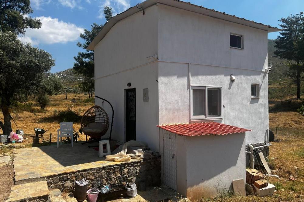 Bodrum Gökpınar 16680 m2 5 Parsel Orman Cepheli Çiftlik Arazisi