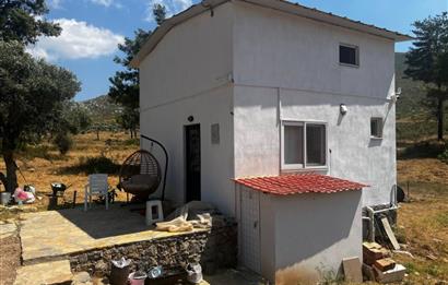 Bodrum Gökpınar 16680 m2 5 Parsel Orman Cepheli Çiftlik Arazisi