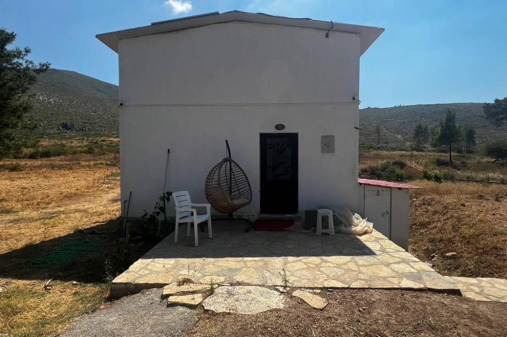Bodrum Gökpınar 16680 m2 5 Parsel Orman Cepheli Çiftlik Arazisi