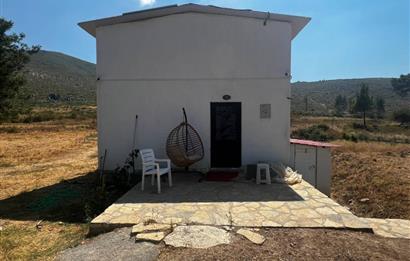 Bodrum Gökpınar 16680 m2 5 Parsel Orman Cepheli Çiftlik Arazisi