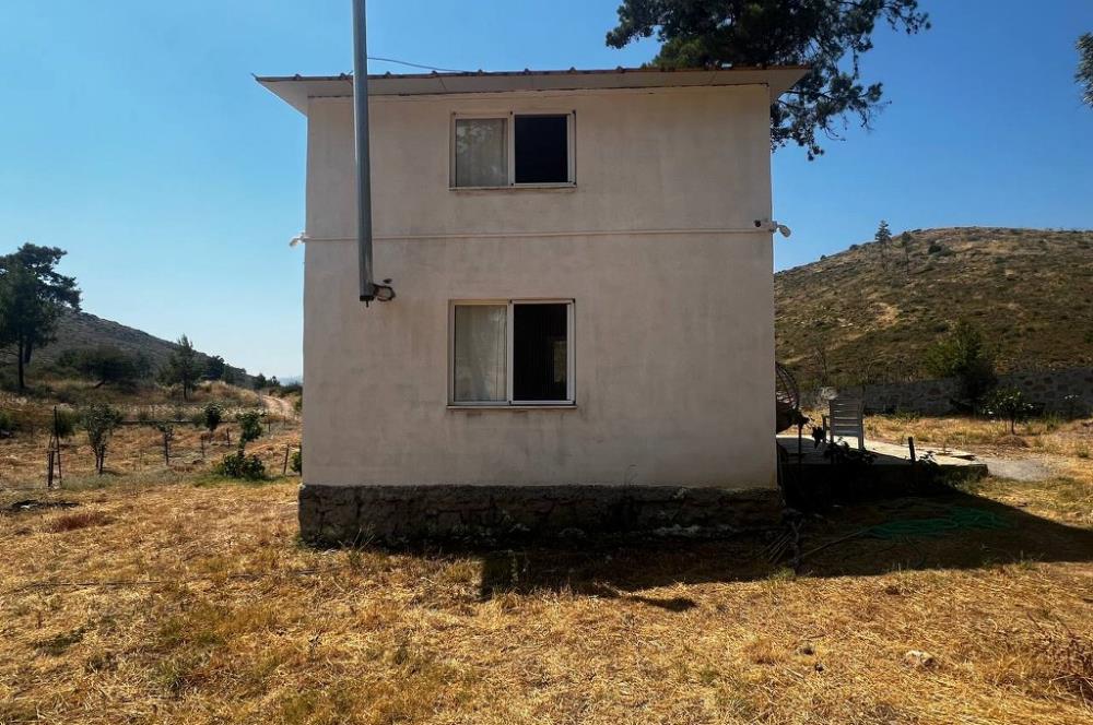 Bodrum Gökpınar 16680 m2 5 Parsel Orman Cepheli Çiftlik Arazisi