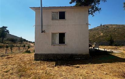 Bodrum Gökpınar 16680 m2 5 Parsel Orman Cepheli Çiftlik Arazisi