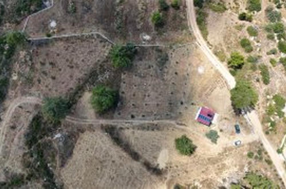 Bodrum Gökpınar 16680 m2 5 Parsel Orman Cepheli Çiftlik Arazisi