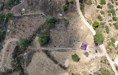 Bodrum Gökpınar 16680 m2 5 Parsel Orman Cepheli Çiftlik Arazisi