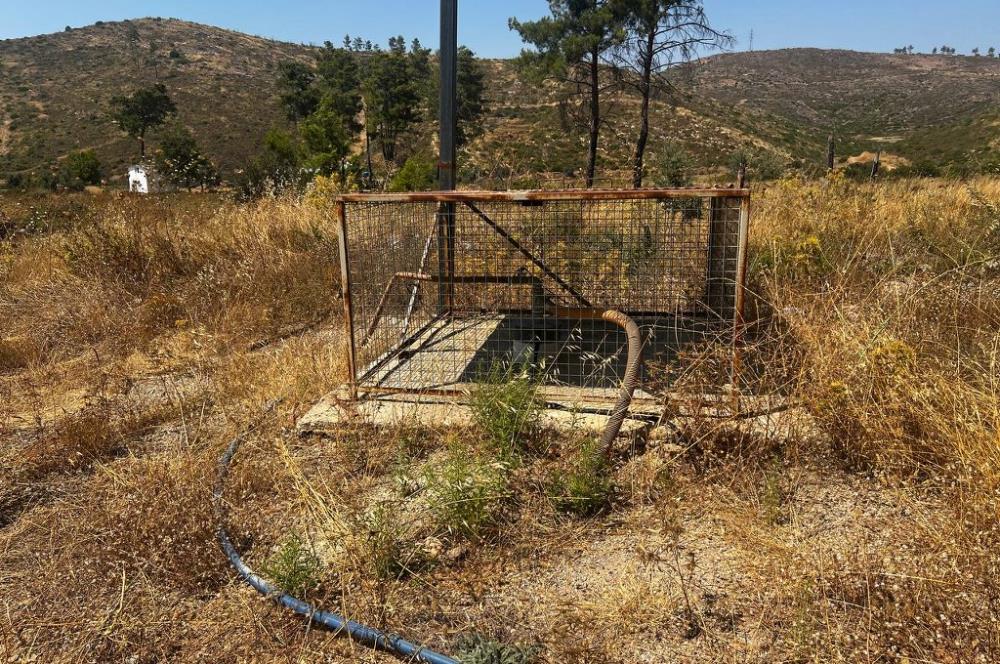 Bodrum Gökpınar 16680 m2 5 Parsel Orman Cepheli Çiftlik Arazisi
