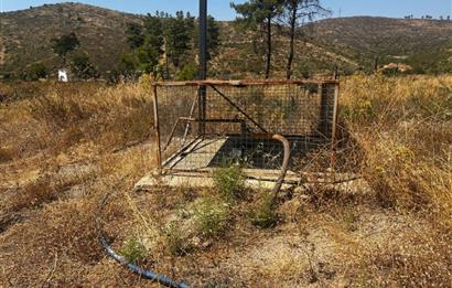 Bodrum Gökpınar 16680 m2 5 Parsel Orman Cepheli Çiftlik Arazisi