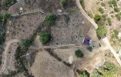 Bodrum Gökpınar 16680 m2 5 Parsel Orman Cepheli Çiftlik Arazisi