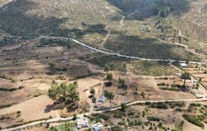 Bodrum Gökpınar 16680 m2 5 Parsel Orman Cepheli Çiftlik Arazisi