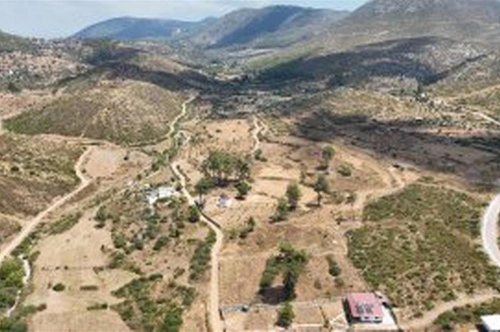 Bodrum Gökpınar 16680 m2 5 Parsel Orman Cepheli Çiftlik Arazisi