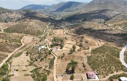 Bodrum Gökpınar 16680 m2 5 Parsel Orman Cepheli Çiftlik Arazisi