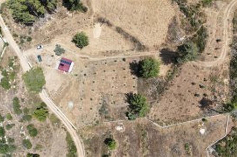 Bodrum Gökpınar 16680 m2 5 Parsel Orman Cepheli Çiftlik Arazisi