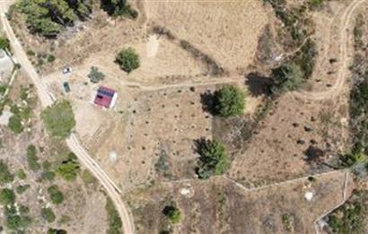 Bodrum Gökpınar 16680 m2 5 Parsel Orman Cepheli Çiftlik Arazisi