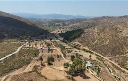 Bodrum Gökpınar 16680 m2 5 Parsel Orman Cepheli Çiftlik Arazisi