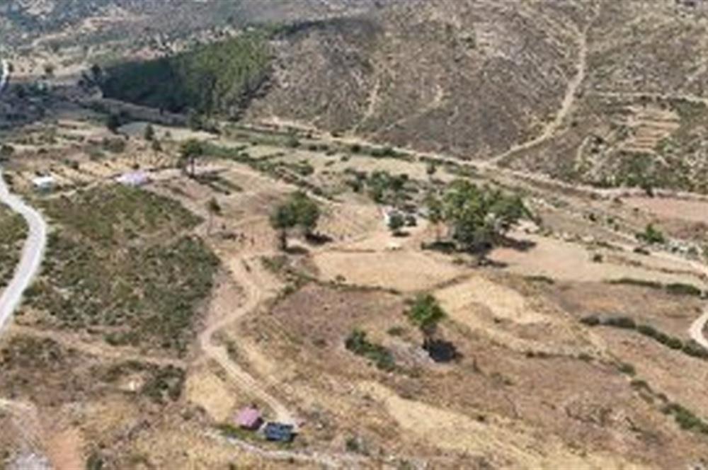 Bodrum Gökpınar 16680 m2 5 Parsel Orman Cepheli Çiftlik Arazisi