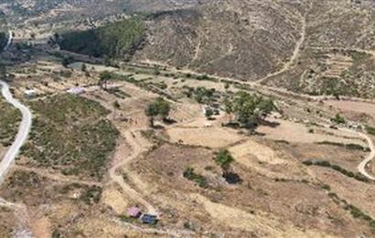 Bodrum Gökpınar 16680 m2 5 Parsel Orman Cepheli Çiftlik Arazisi