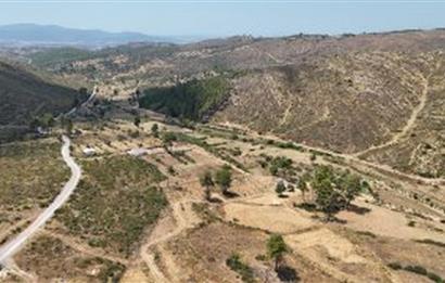 Bodrum Gökpınar 16680 m2 5 Parsel Orman Cepheli Çiftlik Arazisi