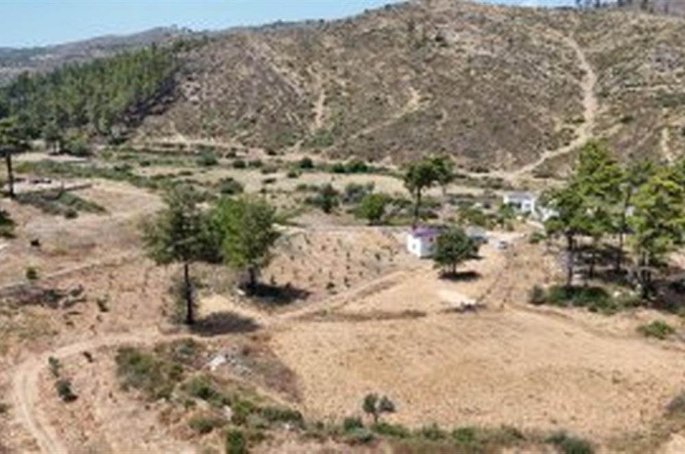 Bodrum Gökpınar 16680 m2 5 Parsel Orman Cepheli Çiftlik Arazisi