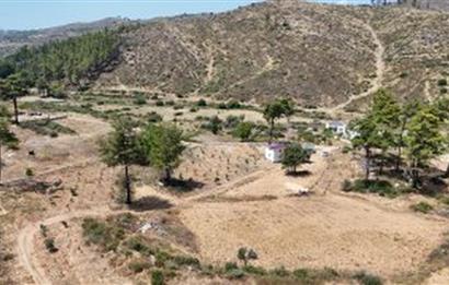 Bodrum Gökpınar 16680 m2 5 Parsel Orman Cepheli Çiftlik Arazisi