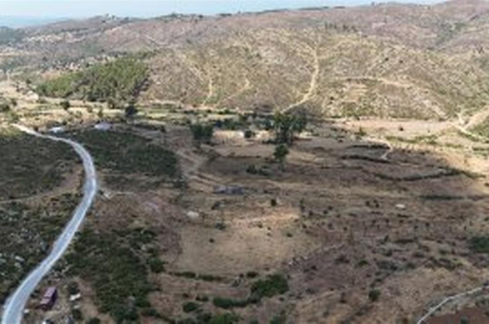 Bodrum Gökpınar 16680 m2 5 Parsel Orman Cepheli Çiftlik Arazisi