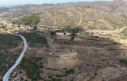 Bodrum Gökpınar 16680 m2 5 Parsel Orman Cepheli Çiftlik Arazisi