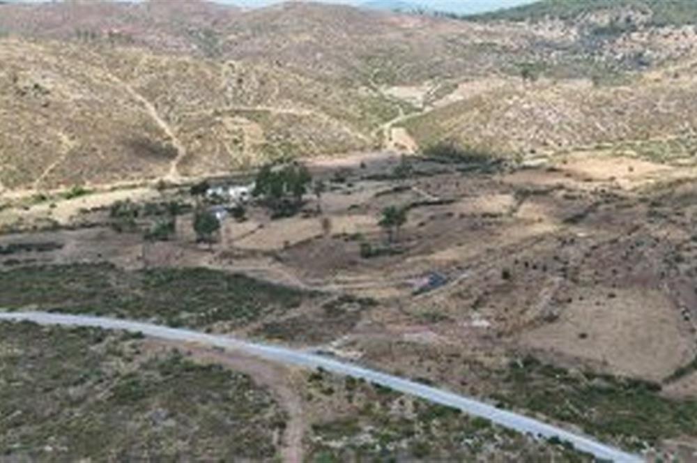 Bodrum Gökpınar 16680 m2 5 Parsel Orman Cepheli Çiftlik Arazisi