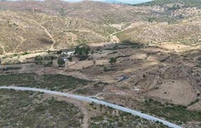 Bodrum Gökpınar 16680 m2 5 Parsel Orman Cepheli Çiftlik Arazisi